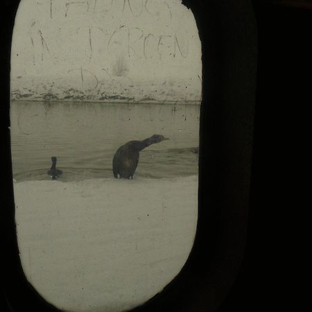 De Boot Otel Merkem Dış mekan fotoğraf