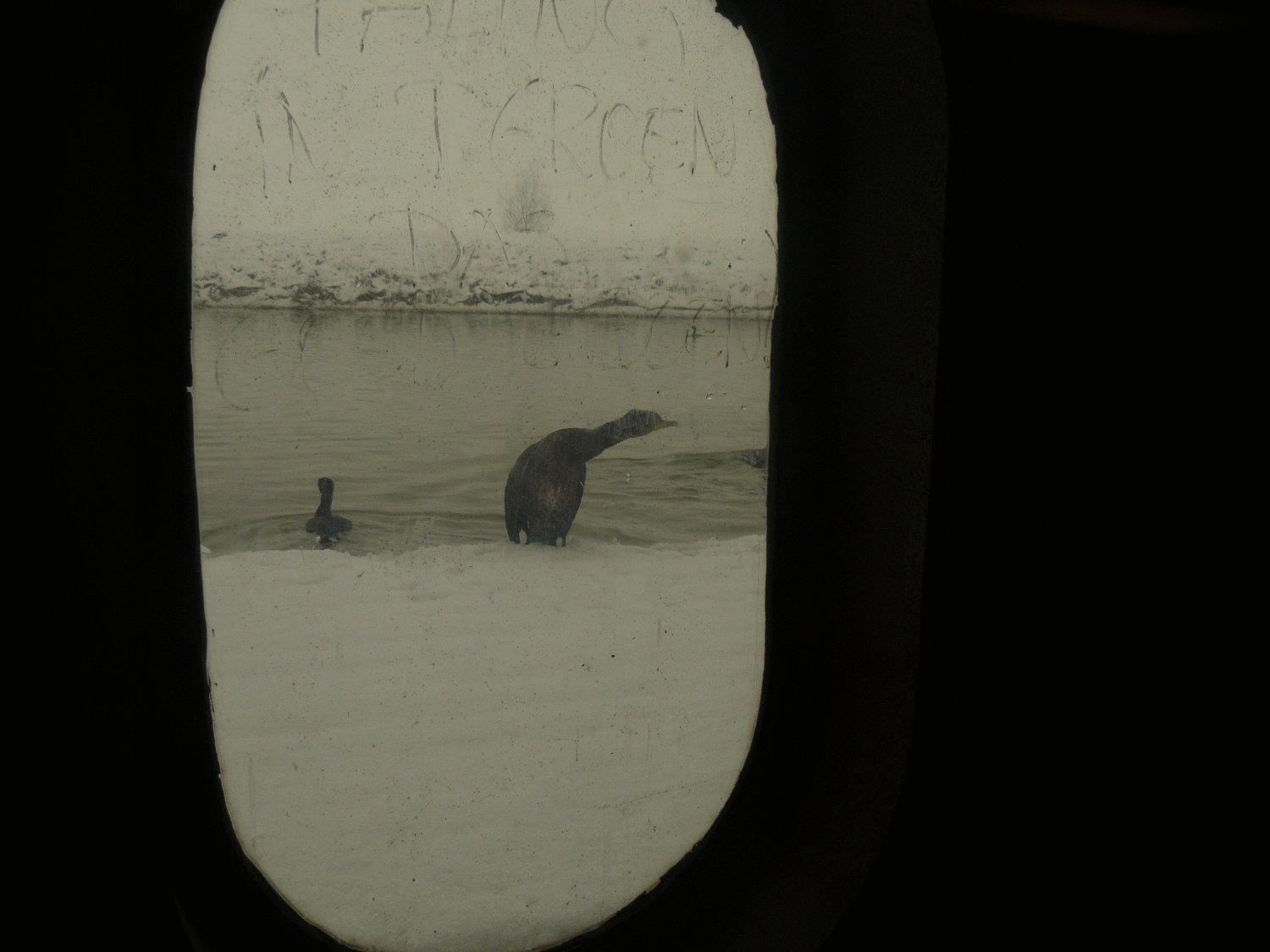 De Boot Otel Merkem Dış mekan fotoğraf
